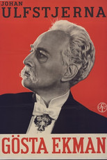 Poster de la película Johan Ulfstjerna