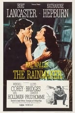 Poster de la película The Rainmaker