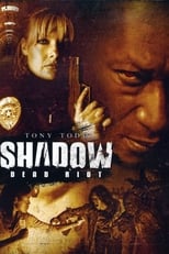 Poster de la película Shadow: Dead Riot