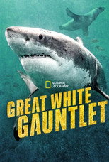 Poster de la película Great White Gauntlet