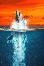 Poster de la película Air Jaws: Going for Gold