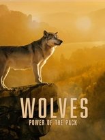 Poster de la película Wolves: Power of the Pack