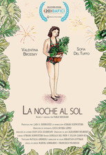 Poster de la película A Sunny Night