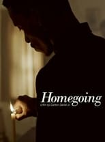 Poster de la película Homegoing