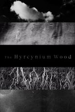 Poster de la película The Hyrcynium Wood