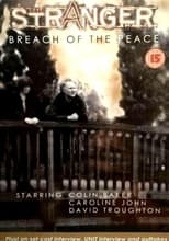 Poster de la película The Stranger: Breach of the Peace