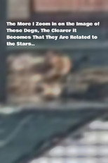 Poster de la película The More I Zoom in on the Image of These Dogs, The Clearer it Becomes That They Are Related to the Stars.