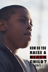 Poster de la película How Do You Raise a Black Child?
