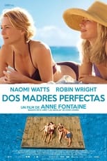 Poster de la película Dos madres perfectas