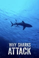 Poster de la película Why Sharks Attack