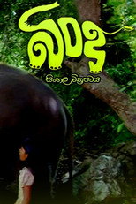 Poster de la película Bindu