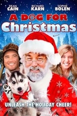 Poster de la película A Dog for Christmas