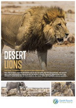 Poster de la película Desert Lions