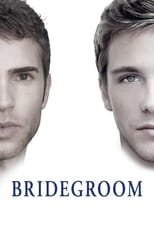 Poster de la película Bridegroom