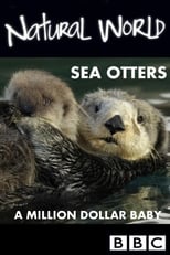 Poster de la película Sea Otters: A Million Dollar Baby