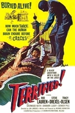 Poster de la película Terrified