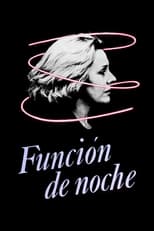 Poster de la película Night Function
