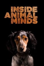 Poster de la película Inside Animal Minds