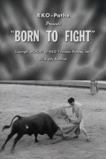Poster de la película Born to Fight
