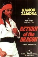 Poster de la película Return of the Dragon