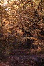 Poster de la película Light Movements