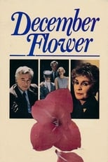 Poster de la película December Flower