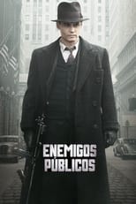 Poster de la película Enemigos públicos