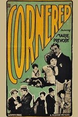 Poster de la película Cornered