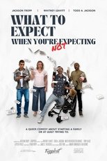 Poster de la película What to Expect When You're Not Expecting