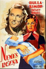 Poster de la película Nemes Rózsa