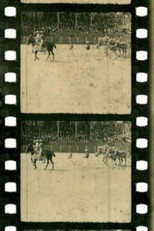 Poster de la película Corrida