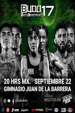 Poster de la película Budo Sento Championship 17