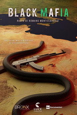 Poster de la película Black Mafia