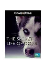 Poster de la película The Secret Life of Dogs