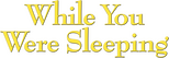 Logo While You Were Sleeping