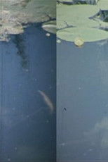 Poster de la película Time Flow