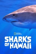 Poster de la película Sharks of Hawaii