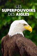 Poster de la película Superpowered Eagles