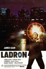 Poster de la película Ladrón