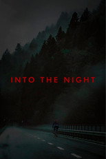 Poster de la película Into The Night