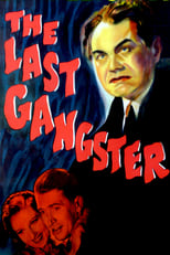 Poster de la película The Last Gangster