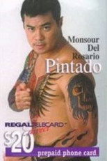 Poster de la película Pintado