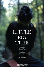 Poster de la película Little Big Tree