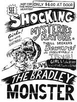 Poster de la película Basket Case 3-1/2: An Interview With Duane Bradley