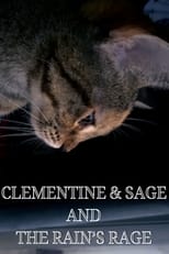 Poster de la película Clementine & Sage and The Rain's Rage