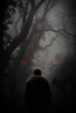 Poster de la película John in the Woods