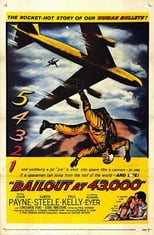 Poster de la película Bailout at 43,000