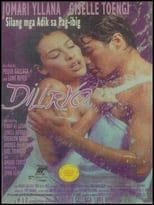 Poster de la película Diliryo