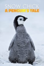 Poster de la película Snow Chick - A Penguin's Tale