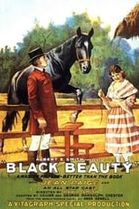 Poster de la película Black Beauty